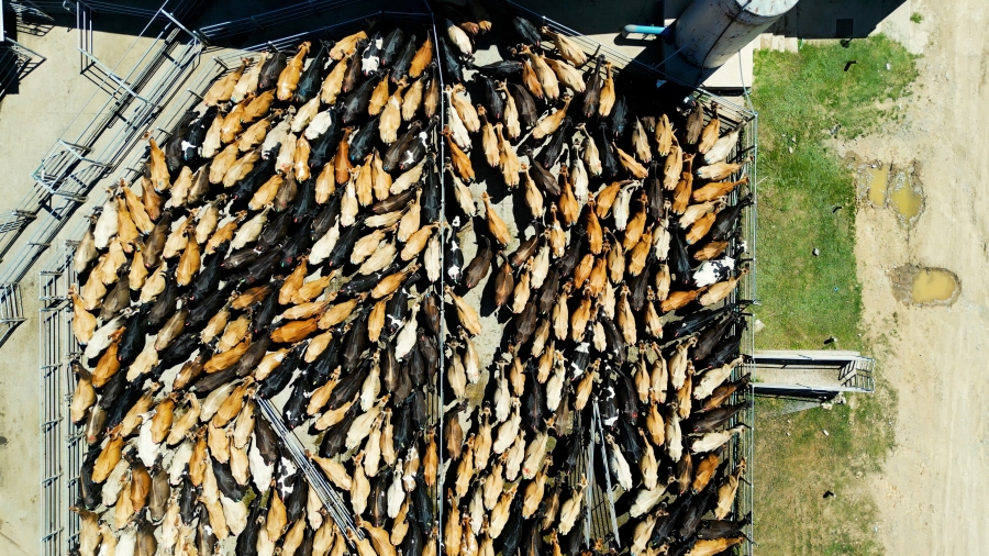 0 Bedroom Property for Sale in Stutterheim Rural Eastern Cape